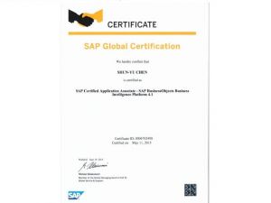 SAP BusinessObjects Business Intellignce Platform 4.1